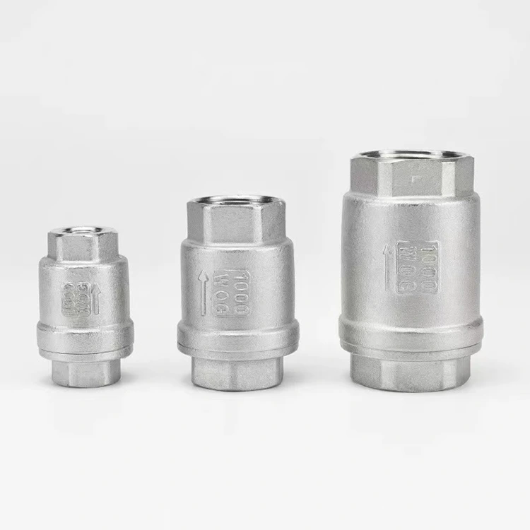 H12 Industrial Vertical Check Valve