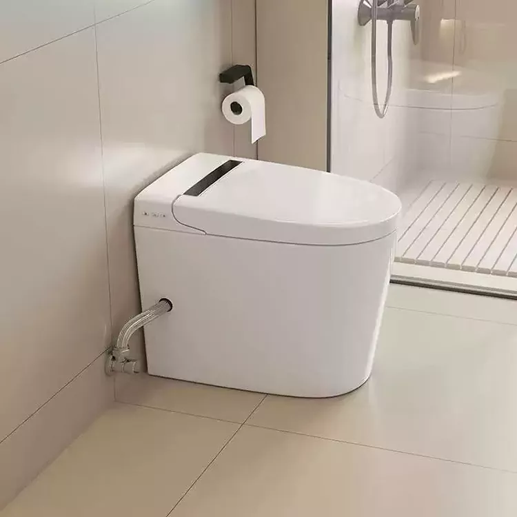 Moderna Minimalista Saĝa Necesejo